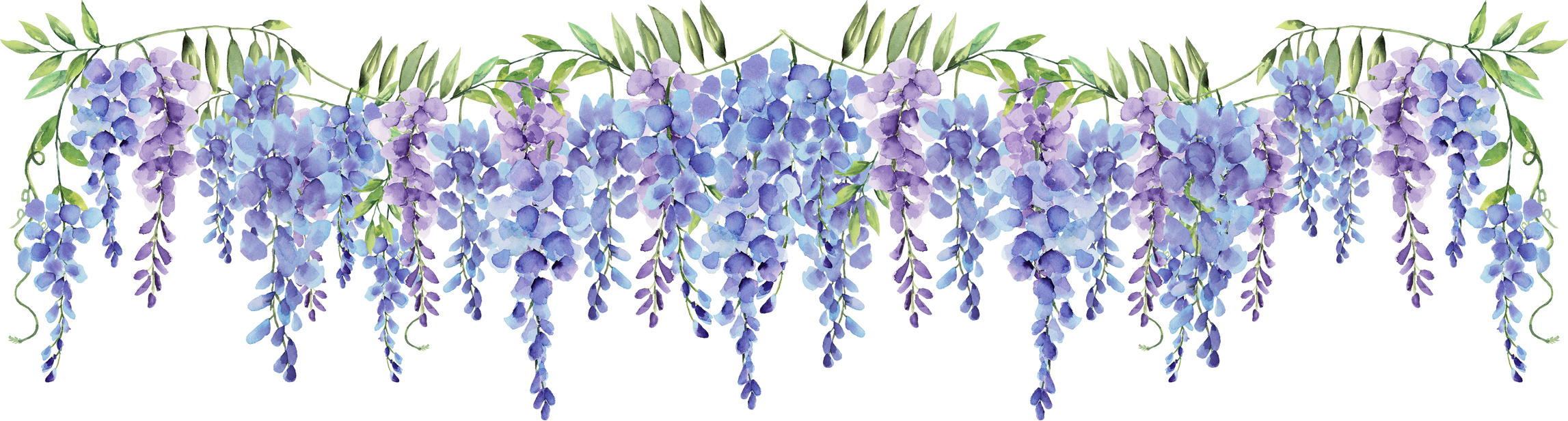 wisteria purple and blue flower watercolor long border