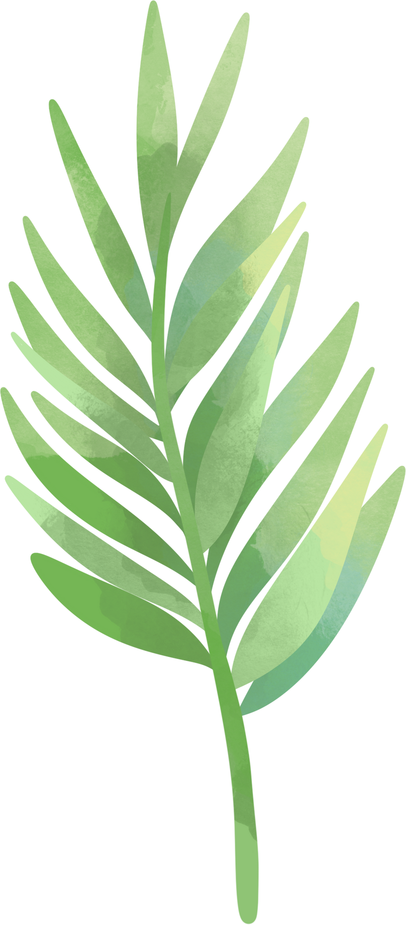 Cartoon tropic illustration, leaves