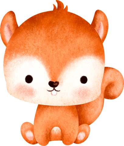 Cute baby squirrel